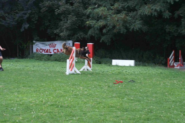 agility 2011-09